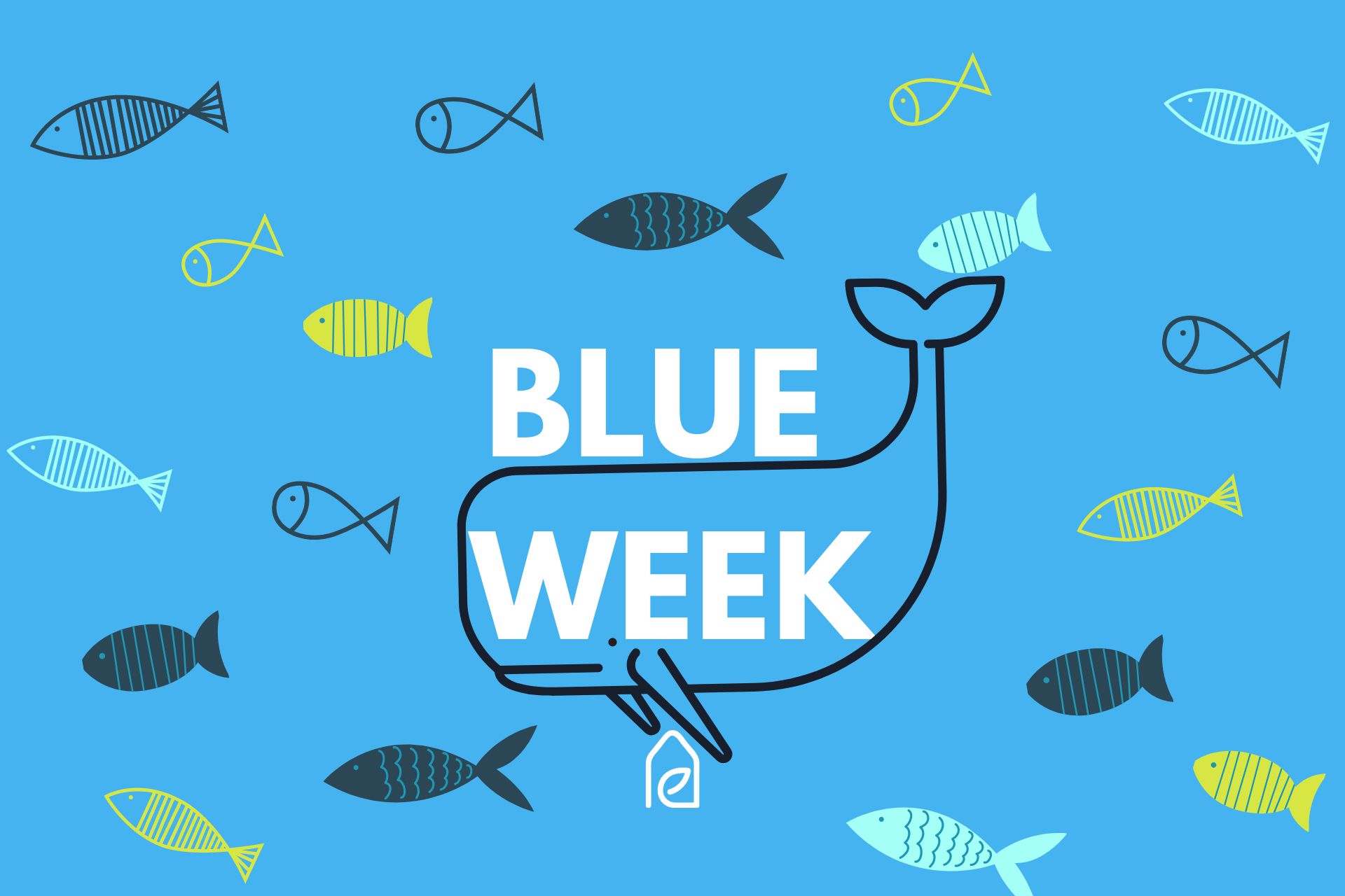 blue week - angebote bis zu 20%