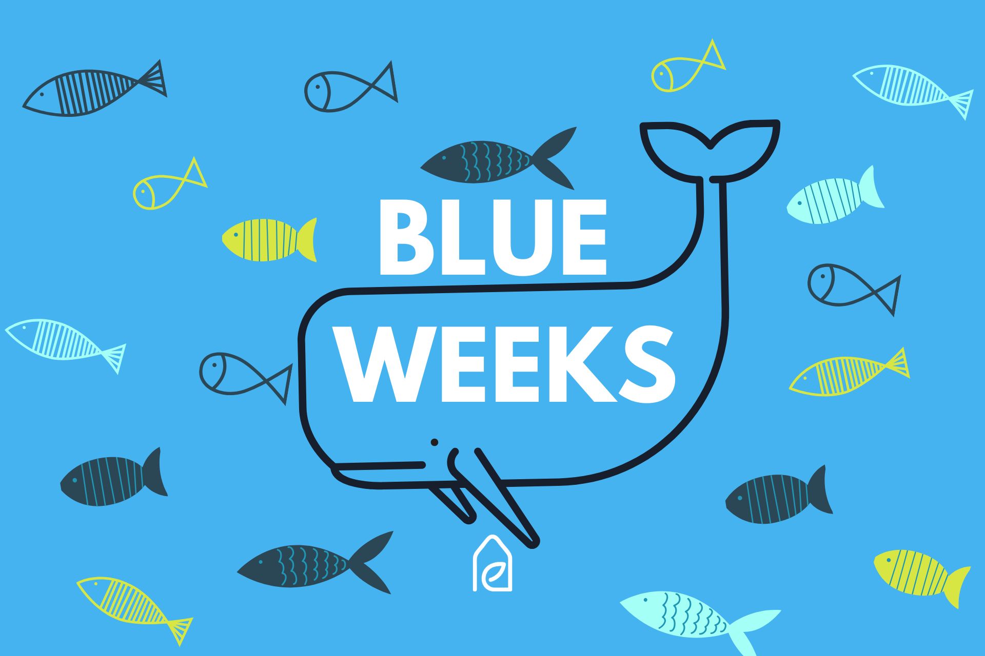 Blue Weeks Angebote
